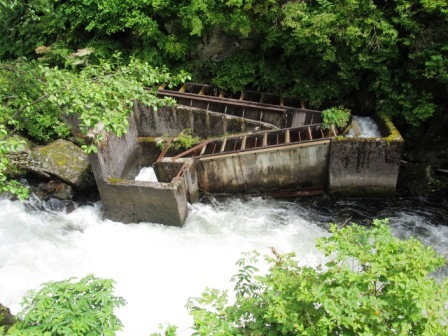 The Salmon Ladder in Ketchikan is a great place to watch jumping salmon